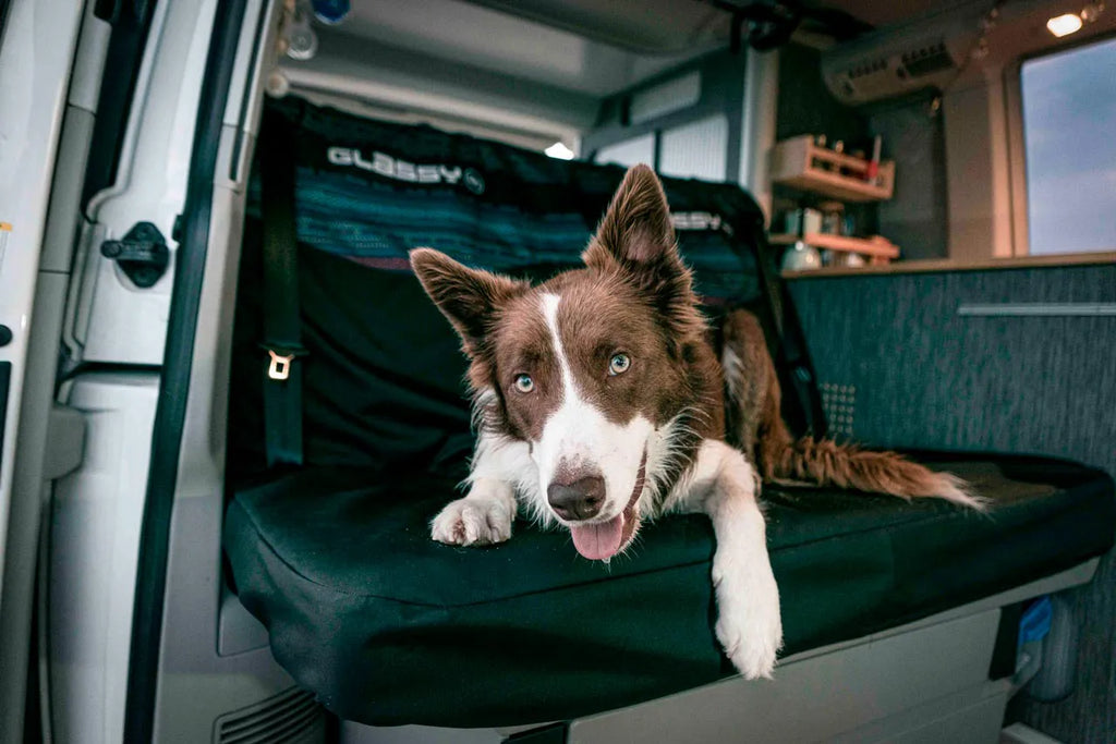 BANQUETTE DOUBLE ARRIÈRE FIDJI POUR WV CALIFORNIA