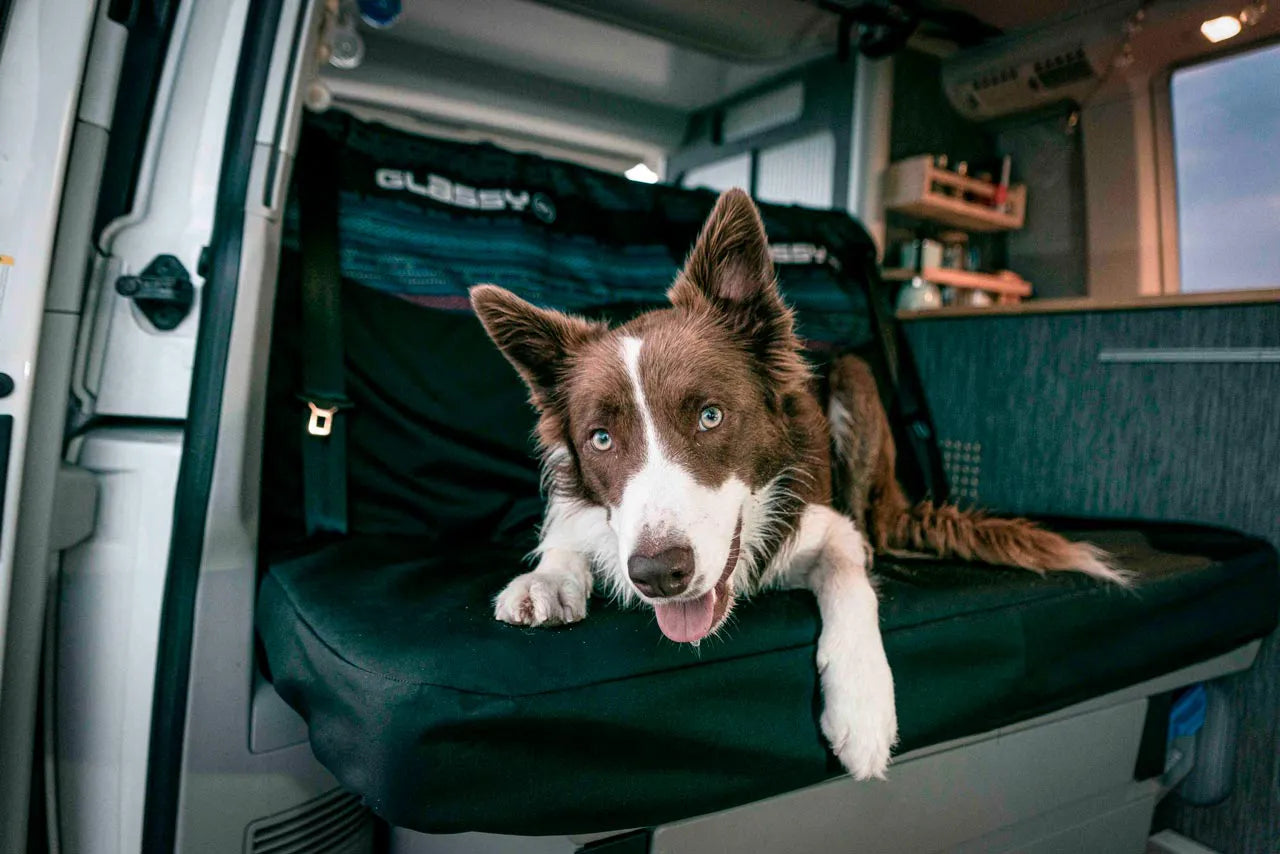 BANQUETTE DOUBLE ARRIÈRE FIDJI POUR WV CALIFORNIA